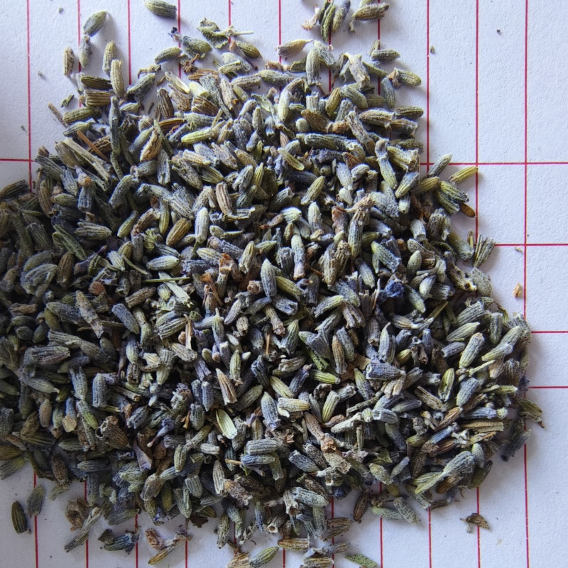 薰衣草干花粒祥泰药材栈中药材批发零售实物拍摄量多从优