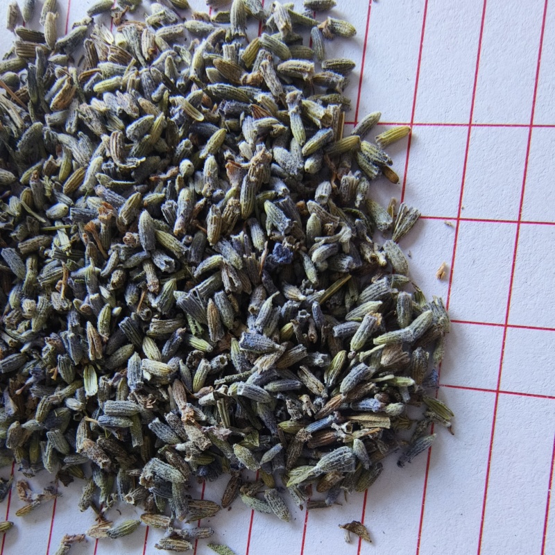 薰衣草干花粒祥泰药材栈中药材批发零售实物拍摄量多从优