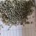 薰衣草干花粒祥泰药材栈中药材批发零售实物拍摄量多从优