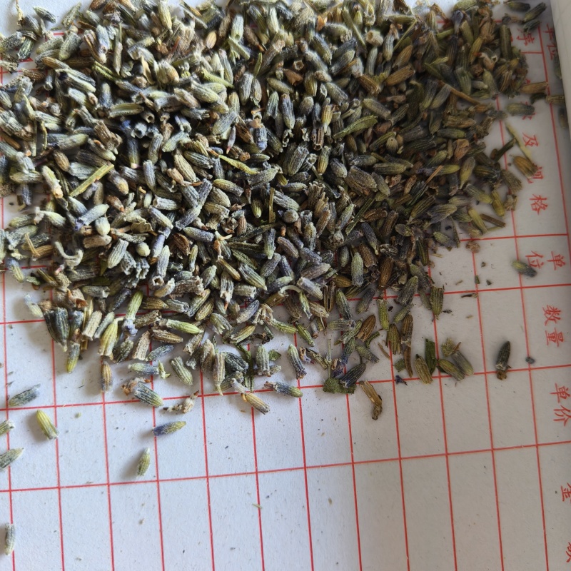 薰衣草干花粒祥泰药材栈中药材批发零售实物拍摄量多从优
