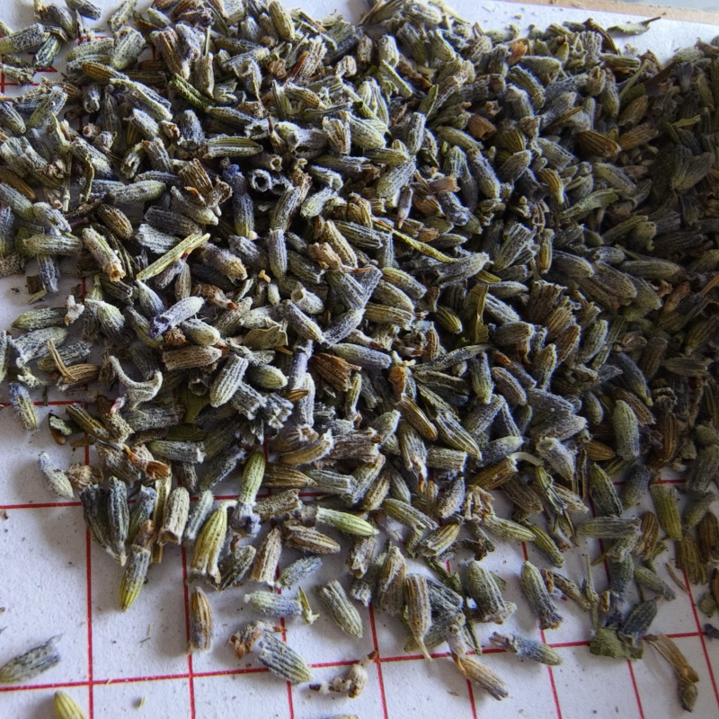 薰衣草干花粒祥泰药材栈中药材批发零售实物拍摄量多从优