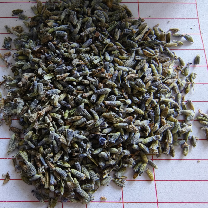 薰衣草干花粒祥泰药材栈中药材批发零售实物拍摄量多从优