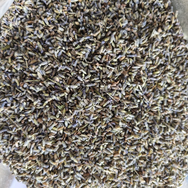 薰衣草干花粒祥泰药材栈中药材批发零售实物拍摄量多从优