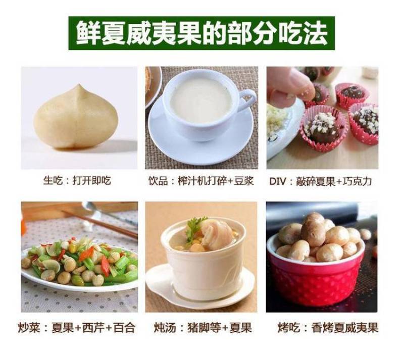 云南夏威夷果澳洲坚果种植基地直发量大带皮去皮烘干