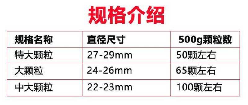 云南夏威夷果澳洲坚果种植基地直发量大带皮去皮烘干