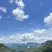云南夏威夷果澳洲坚果种植基地直发量大带皮去皮烘干