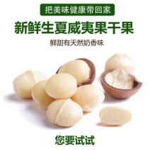 云南夏威夷果澳洲坚果种植基地直发量大带皮去皮烘干