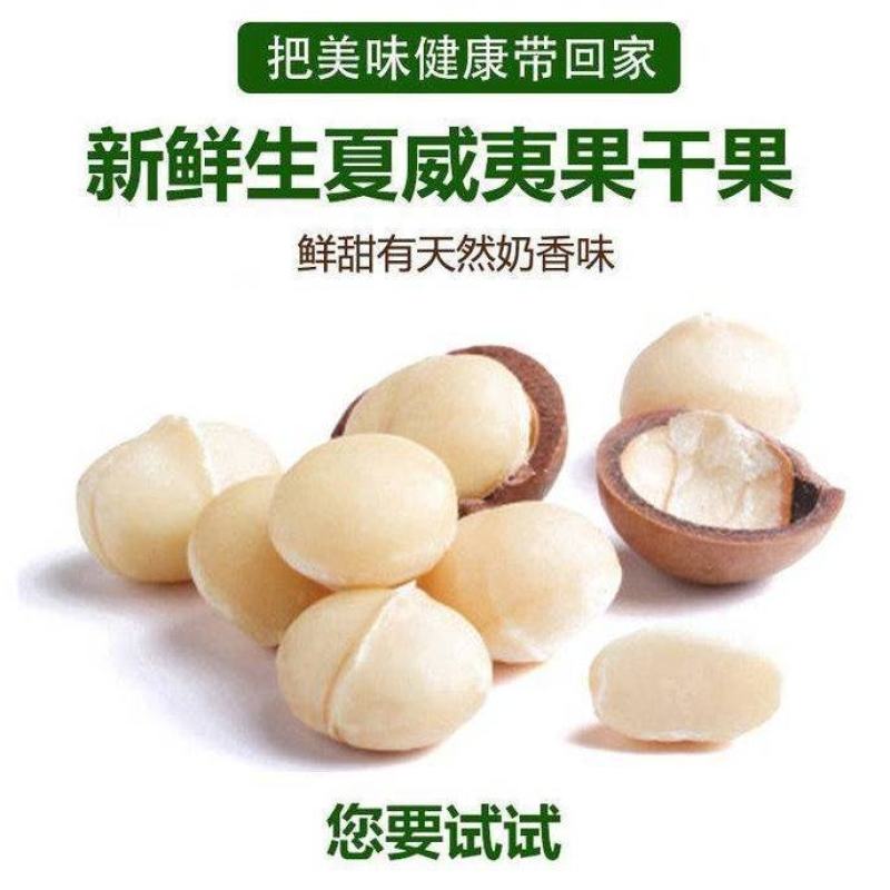 云南夏威夷果澳洲坚果种植基地直发量大带皮去皮烘干