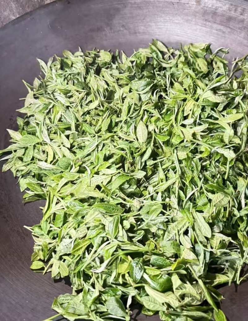 茶叶