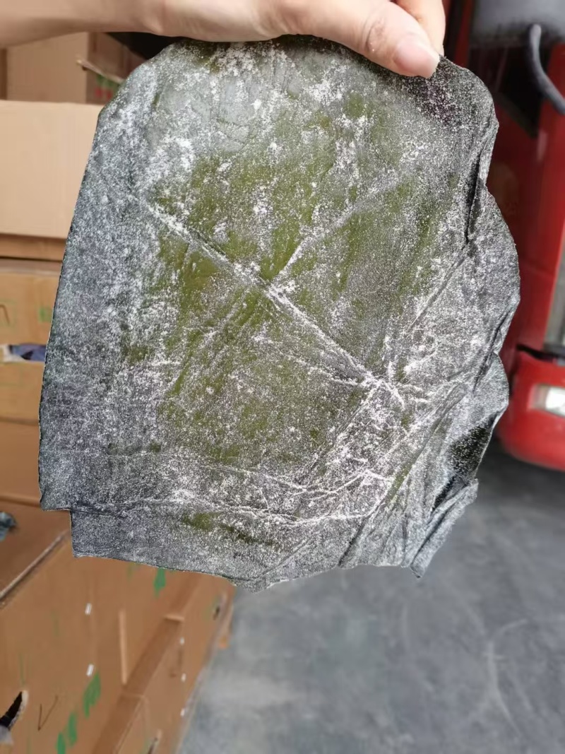 盐渍海带头半干盐海带颜色青绿皮张大跑江湖地摊一手货源