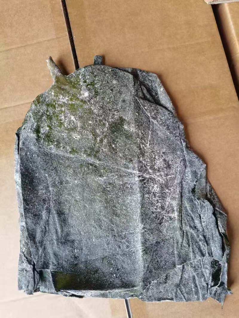 盐渍海带头半干盐海带颜色青绿皮张大跑江湖地摊一手货源