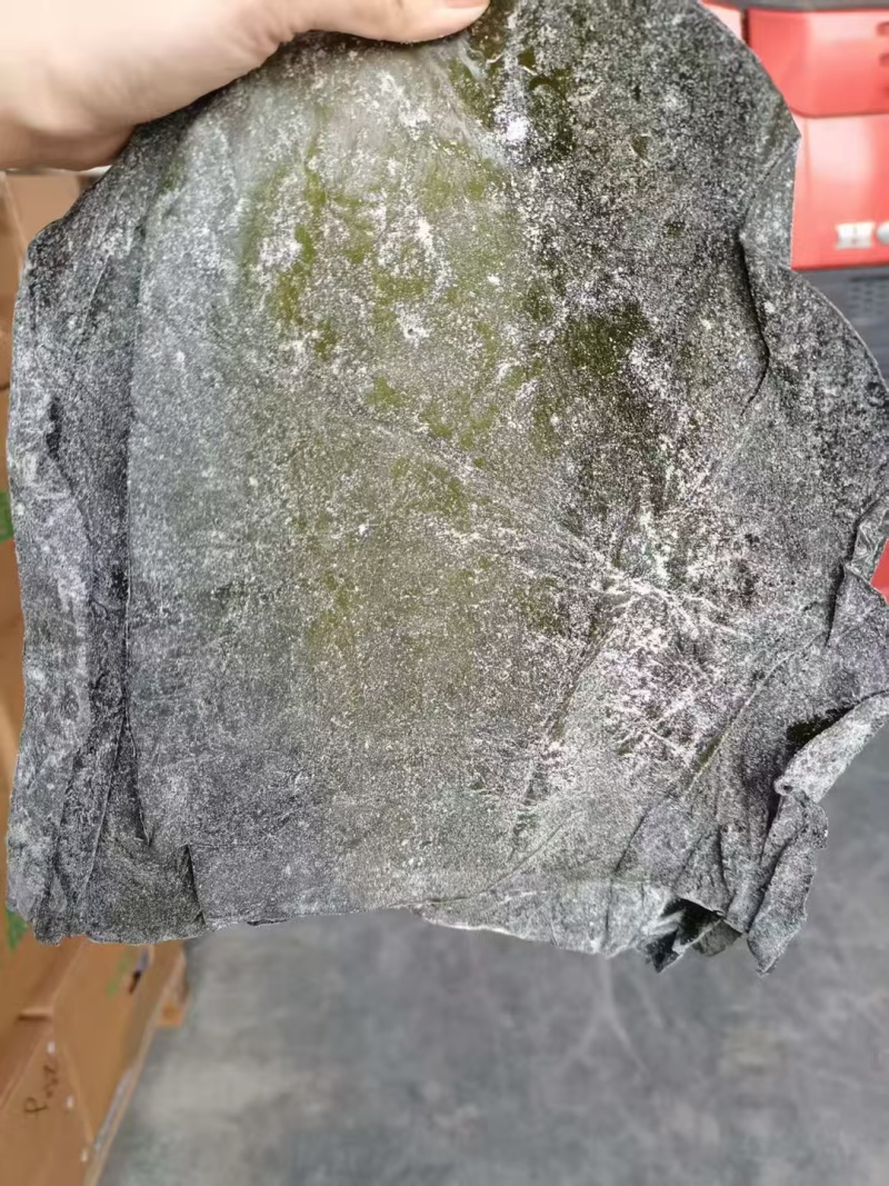 盐渍海带头半干盐海带颜色青绿皮张大跑江湖地摊一手货源