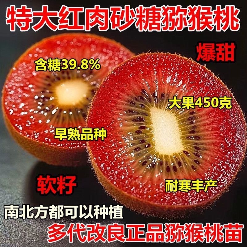 猕猴桃盆栽苗，当年种植当年挂果，红心带叶发货