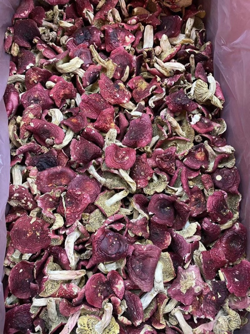 野生红菇批发蓝底红菇干货批发红菇礼盒批发