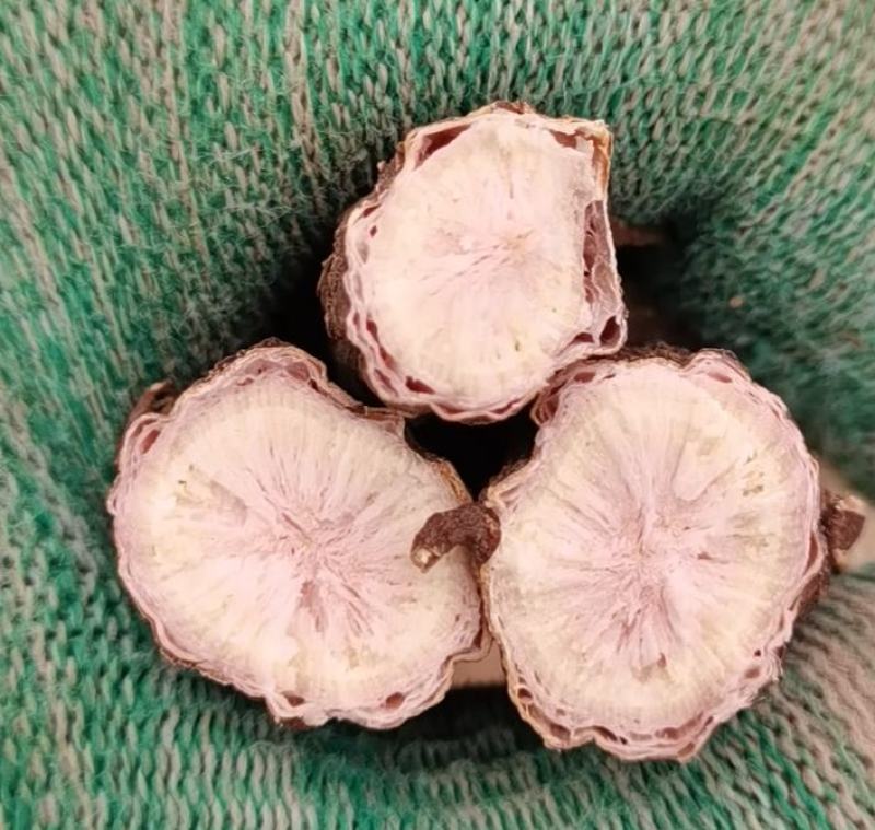 内蒙-粉漕茬-赤芍