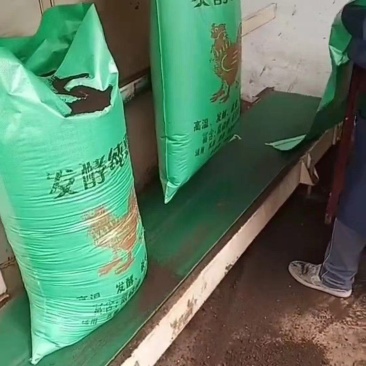 【厂家直发】河北发酵鸡粪一手货源视频看货
