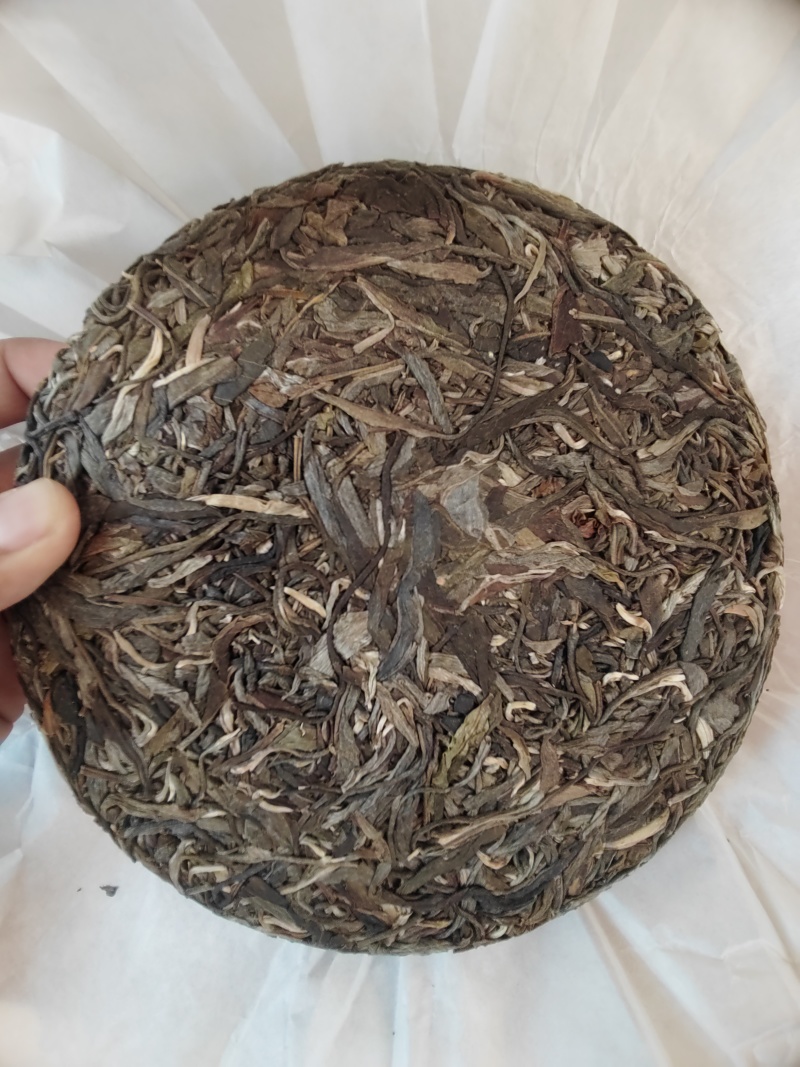 勐海县布朗山普洱茶大树混采乔木货源充足