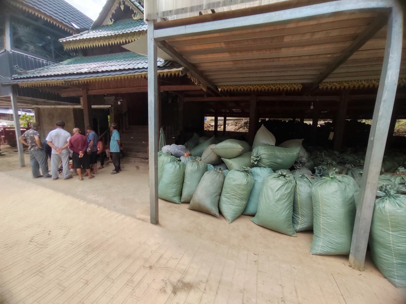 勐海县布朗山普洱茶大树混采乔木货源充足