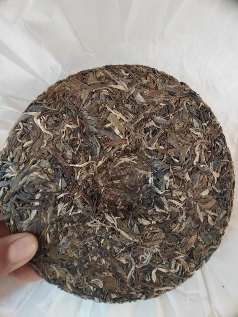勐海县布朗山普洱茶大树混采乔木货源充足