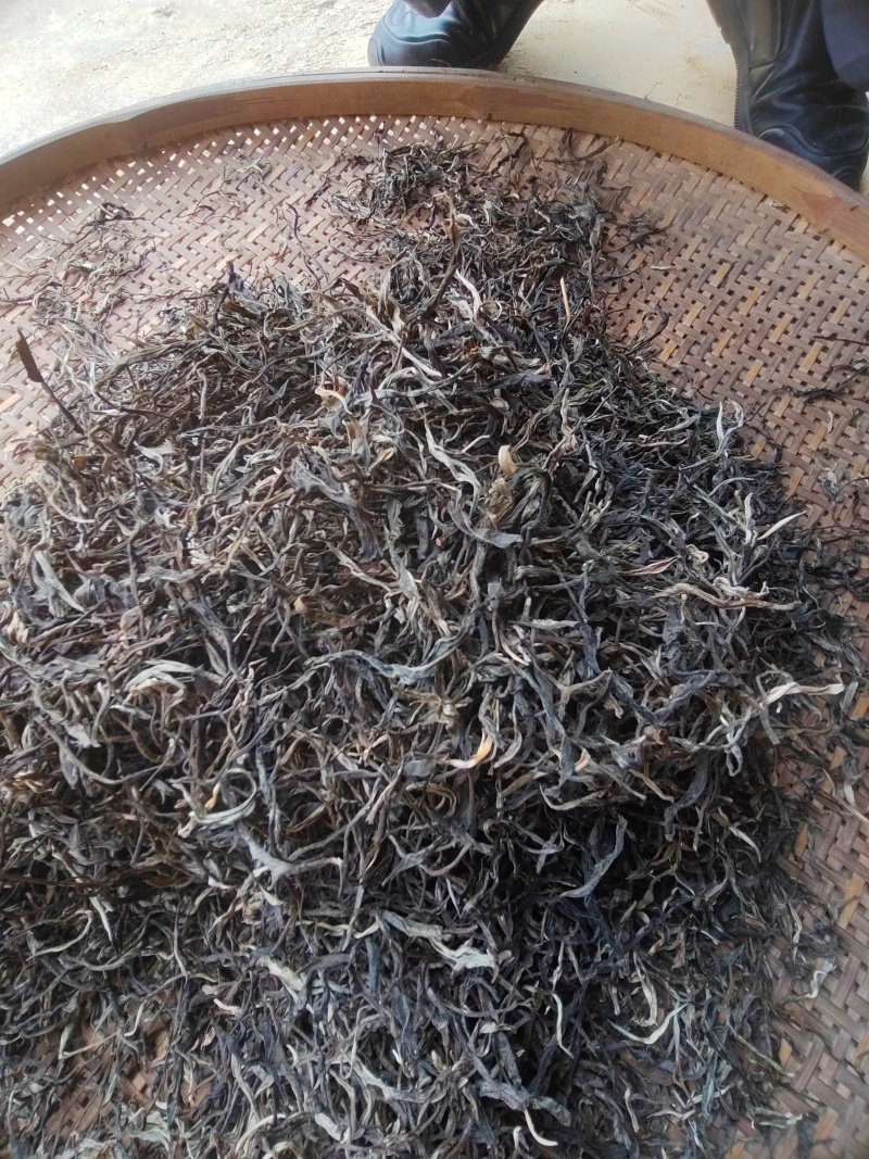 勐海县布朗山普洱茶大树混采乔木货源充足