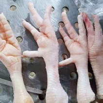 凤爪35+40+45+现货