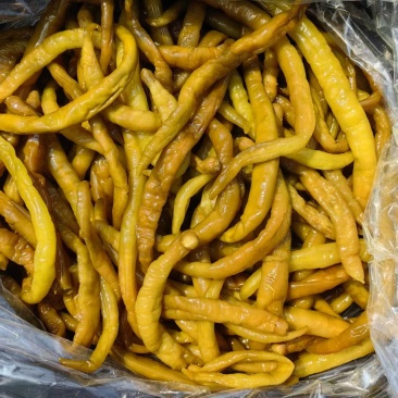 【酱腌青红辣椒】腌制辣椒半成品杂碎青红辣椒杭椒线椒羊角红