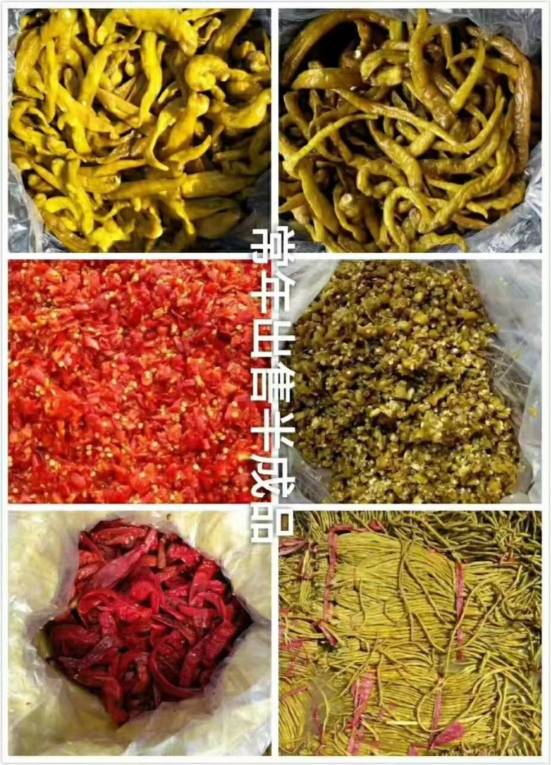 【酱腌青红辣椒】腌制辣椒半成品杂碎青红辣椒杭椒线椒羊角红