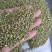 槐米子新货槐米槐树籽槐花米槐米茶新鲜无硫熏500克