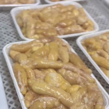 精品无油黑鱼籽