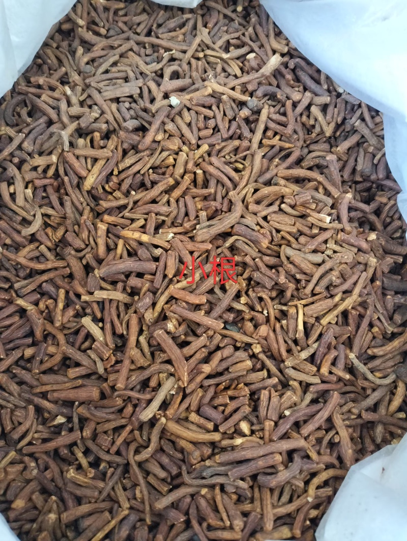 蒲公英根