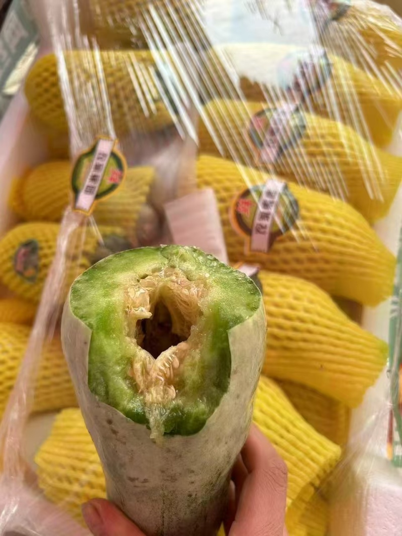 羊角蜜甜瓜产地供应，货源充足，全国代发。