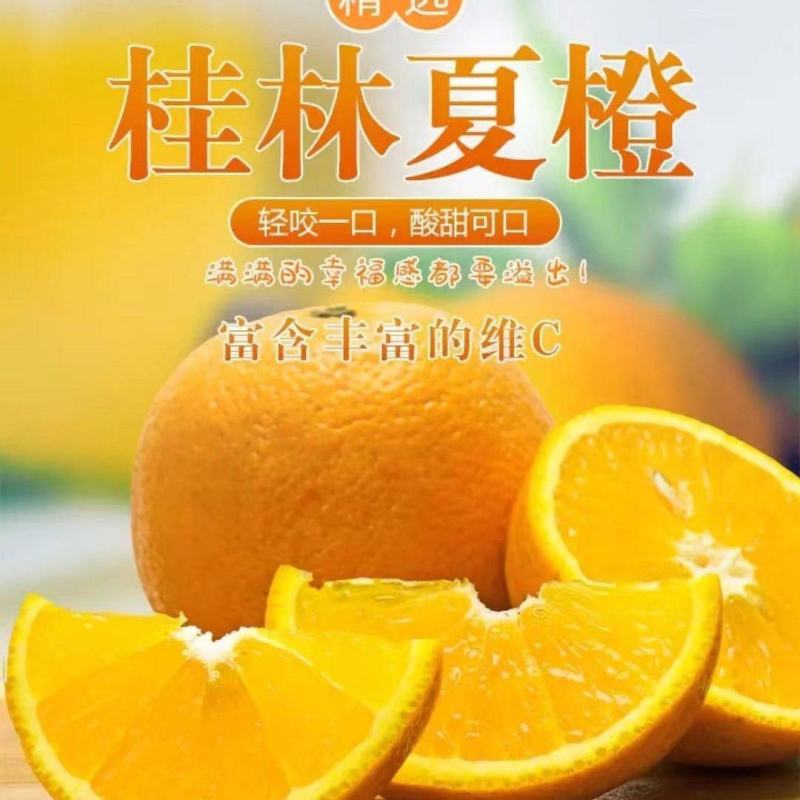 【一件代发】多多，淘宝，抖音，各大平台，社区团购