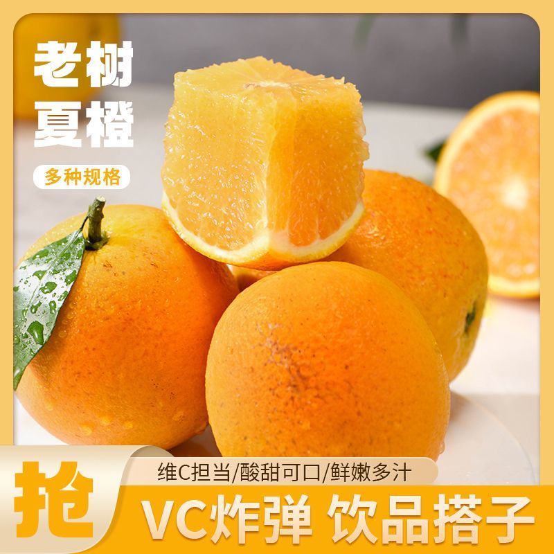 【一件代发】多多，淘宝，抖音，各大平台，社区团购