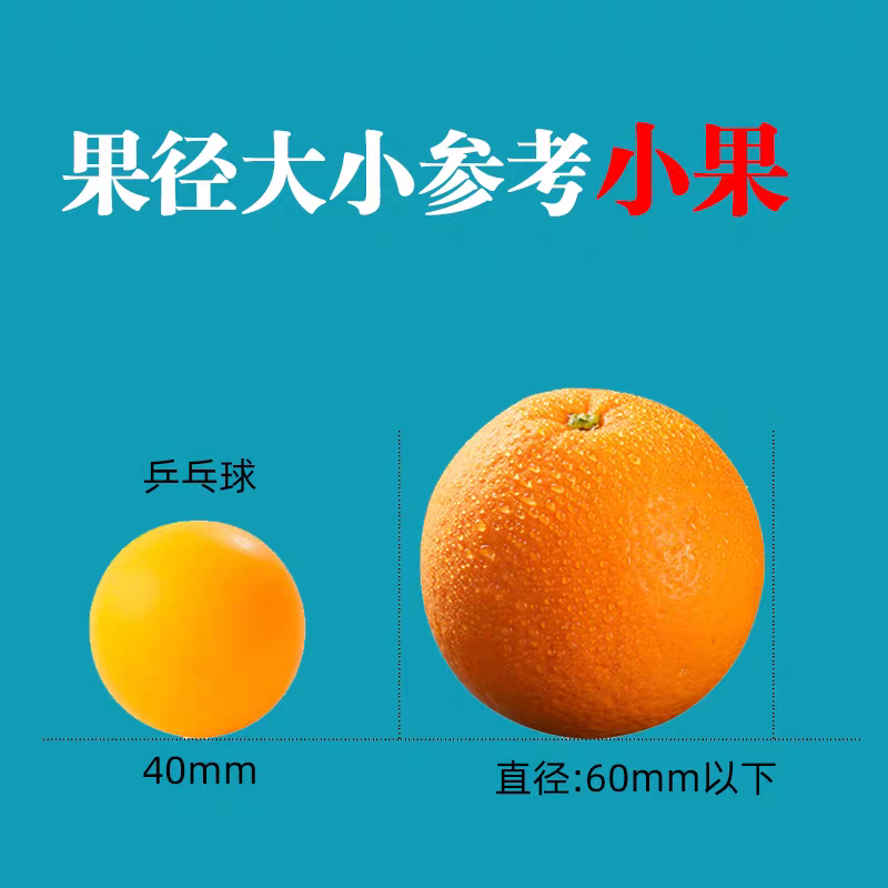 【一件代发】多多，淘宝，抖音，各大平台，社区团购