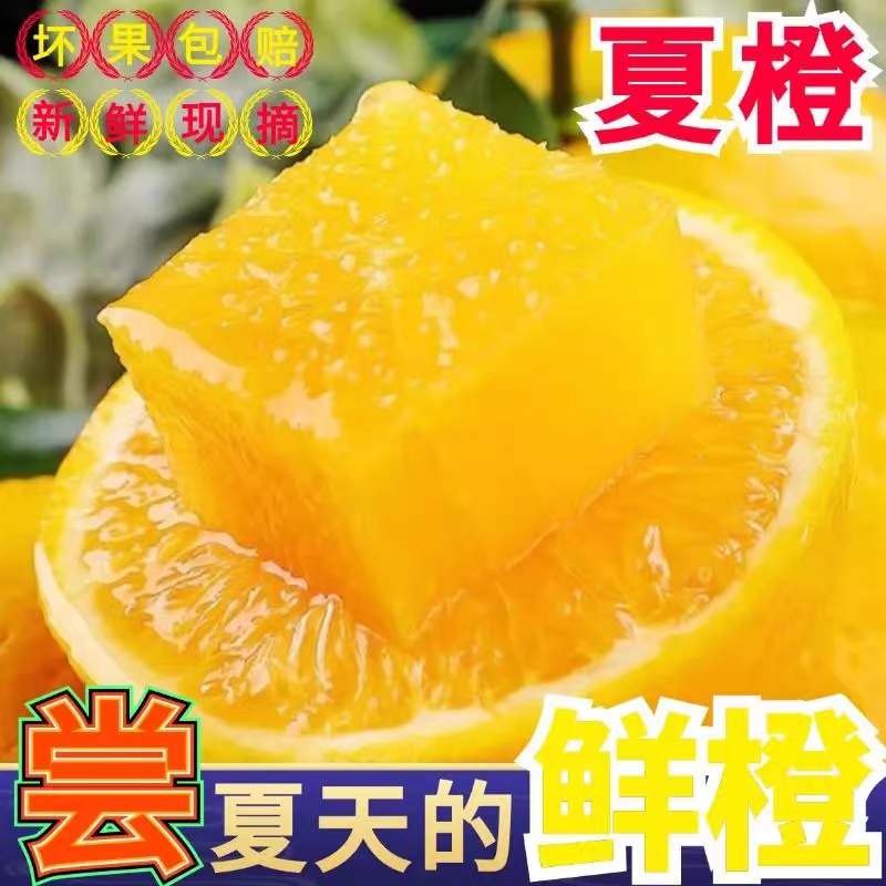 【一件代发】多多，淘宝，抖音，各大平台，社区团购