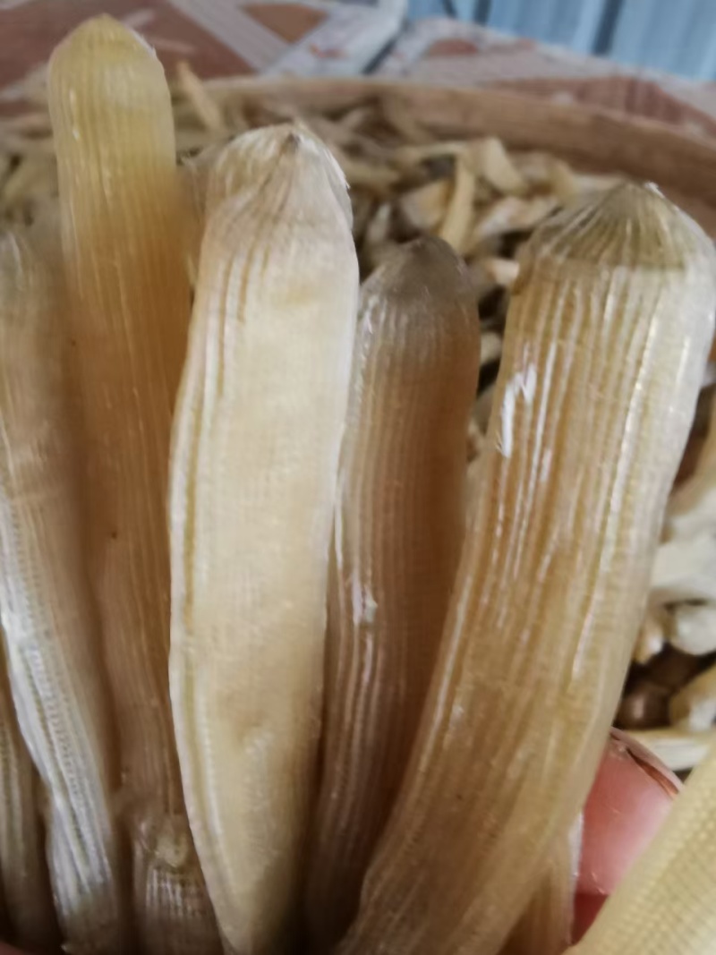 沙虫干