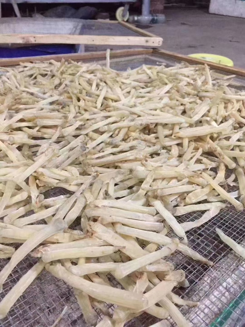 沙虫干