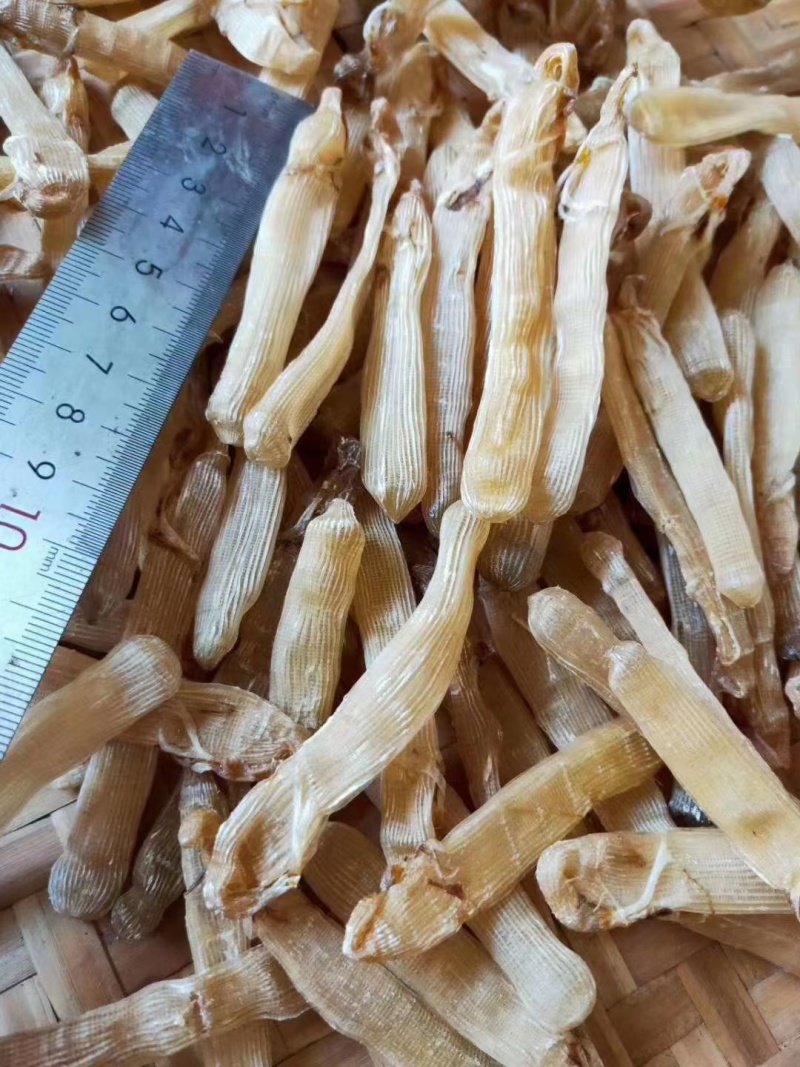 沙虫干