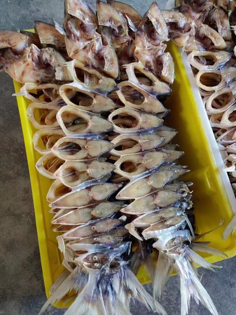 金昌鱼