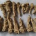 云南高海拔云当归头，质量保证，包过药检