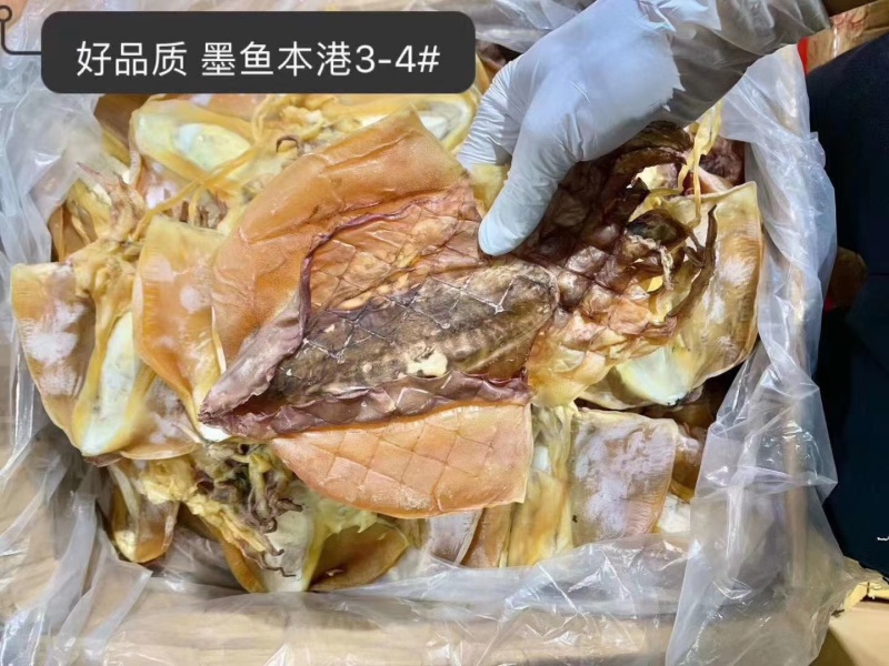 墨鱼干