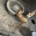 土猎了解一下，，几百条