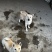 土猎了解一下，，几百条