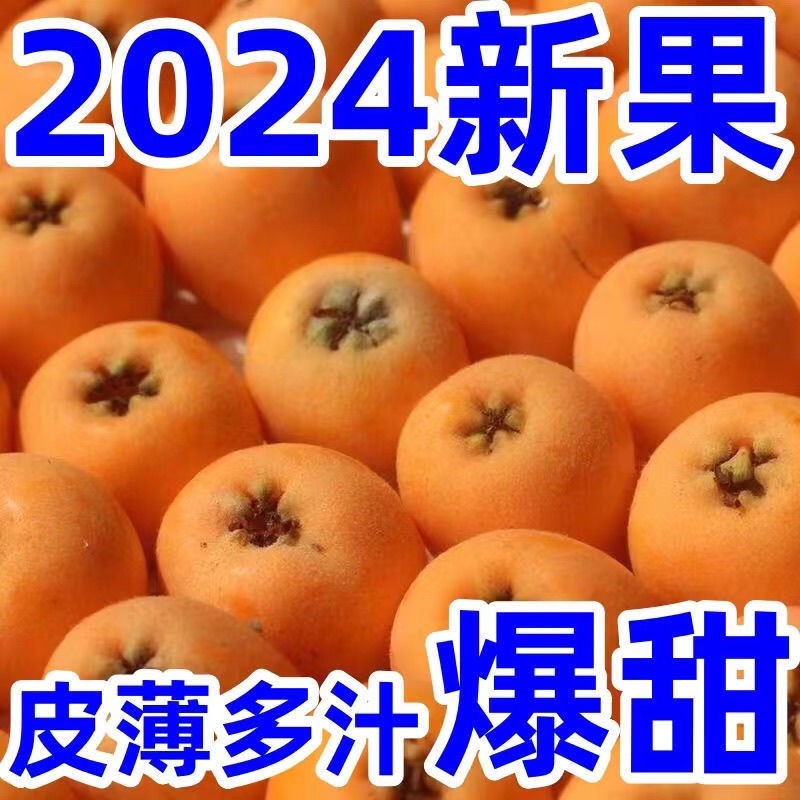 四川大五星枇杷新鲜水果高山润肺琵琶甜批把预售