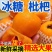 四川大五星枇杷新鲜水果高山润肺琵琶甜批把预售