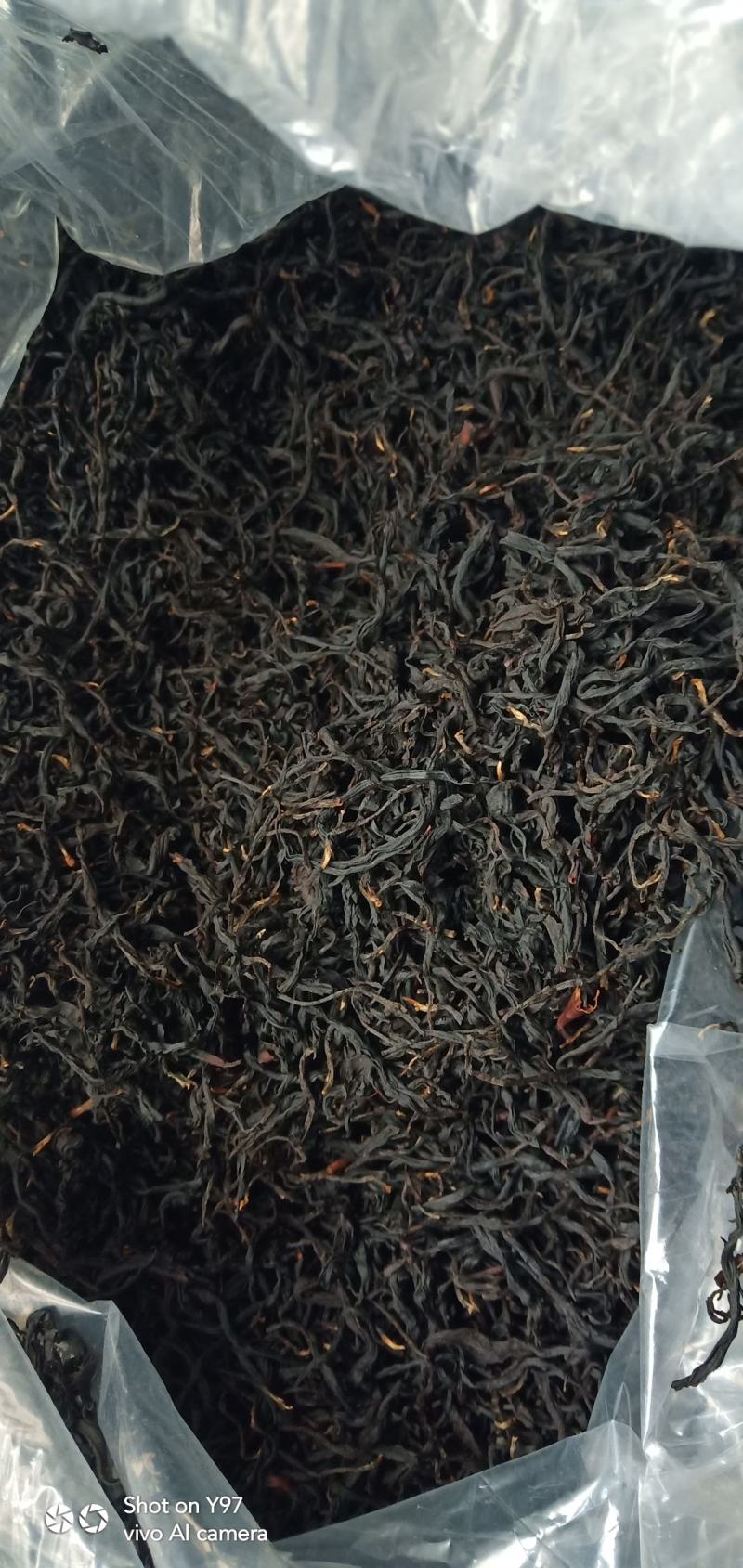 野生红茶