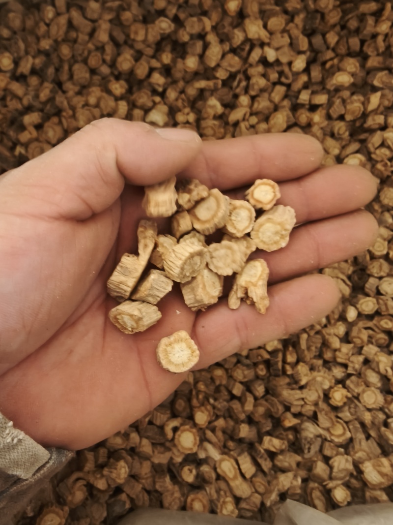 防风颗粒，大小规格齐全，产地直发，规格1.0以上，甘肃货