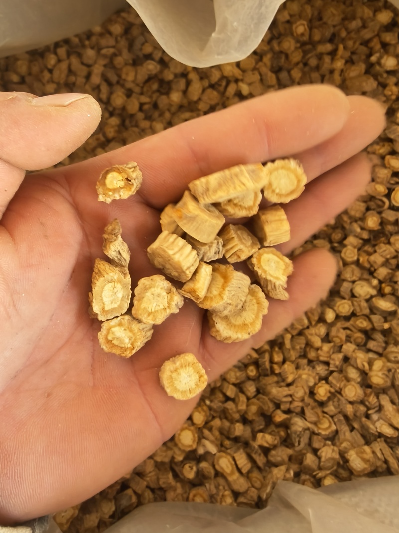 防风颗粒，大小规格齐全，产地直发，规格1.0以上，甘肃货