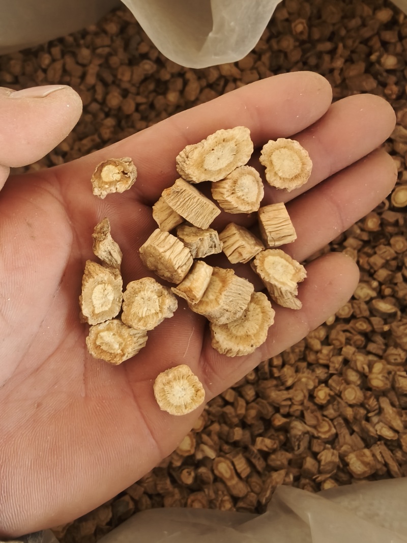 防风颗粒，大小规格齐全，产地直发，规格1.0以上，甘肃货