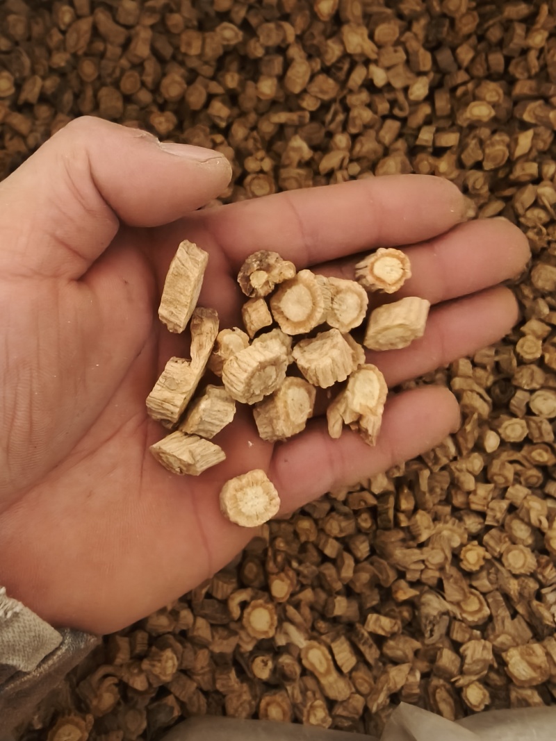 防风颗粒，大小规格齐全，产地直发，规格1.0以上，甘肃货